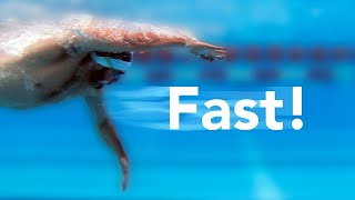 How to swim faster in 100 freestyle [upl. by Reave]