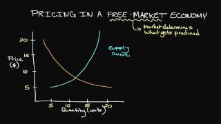 Pricing in a FreeMarket Economy [upl. by Vine]