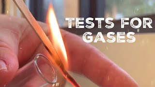 GCSE Science Chemistry 91  Tests for Gases [upl. by Halla333]