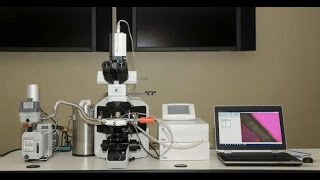 FreezeDry Microscopy  Lyophilization Cycle Development [upl. by Noreht]