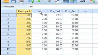 Paired Sample ttest [upl. by Narayan131]