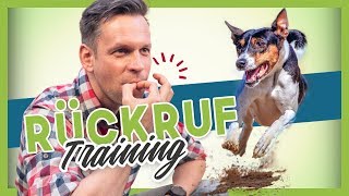 Rückruftraining  Deinem Hund oder Welpen KOMM beibringen [upl. by Edurtreg]