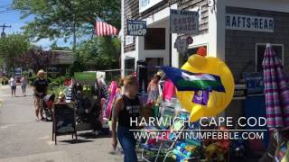 Things to do in Harwich  Best Places to Stay on Cape Cod capecod bucketllist travelguide [upl. by Edbert]