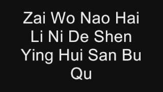 Qing Fei De Yi by Harlem Yu Lyrics PINYIN [upl. by Milano524]