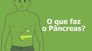 O que faz o pâncreas [upl. by Yl76]