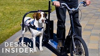 Dog Powered Scooter Exercises You And Your Pup [upl. by Chas]