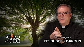 Bishop Barron on The Genealogy of Jesus [upl. by Sukin]