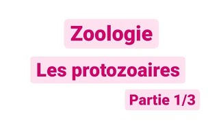 Zoologie L2  les protozoaires SNV [upl. by Loggins189]