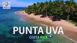 Punta Uva una de las mejores playas del mundo [upl. by Adnamra]