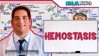 Hematology  Hemostasis Coagulation Cascade [upl. by Nahsez]