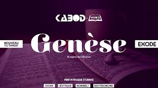 « Genèse »  LAncien Testament  La Sainte Bible audio VF Complète [upl. by Eirak]