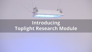 Introducing Tungsram Research Toplight [upl. by Tenej]