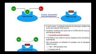 Basics of Drug Interactions EXPLAINED  Inhibition amp Induction [upl. by Jourdain]