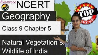 NCERT Class 9 Geography Chapter 5 Natural Vegetation amp Wildlife of India  English  CBSE [upl. by Spalding]