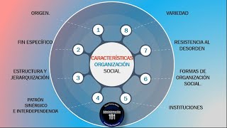 Organizacion Social Concepto Características y Tipos [upl. by Assenna]