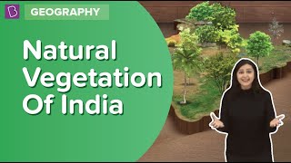 Natural Vegetation Of India  Class 6  Geography  Learn With BYJUS [upl. by Viddah]