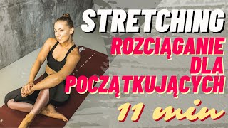 Stretching dla początkujących rozciąganie  Paula Piotrzkowska [upl. by Correy]