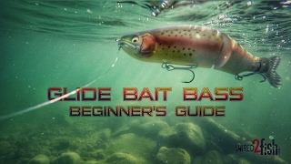 Glide Bait Fishing Bass A Beginners Guide [upl. by Ryun557]