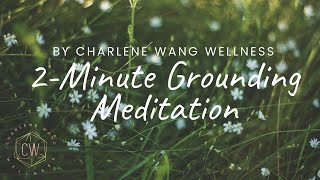 2 Minute Guided Meditation for Grounding [upl. by Ardnuek]