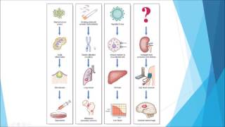 Pathology  Introduction and disease nomenclature [upl. by Eiroj]