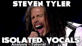 Aerosmith  Steven Tyler  I Dont Want To Miss A Thing  Isolated Vocals  Analysis and Tutorial [upl. by Eerihs138]