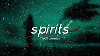 The Strumbellas  Spirits Slowed  Lyrics [upl. by Atikam]