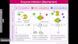 Enzyme inhibition [upl. by Ennoryt591]