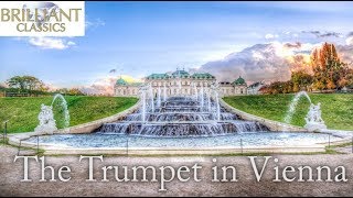 The Trumpet in Vienna [upl. by Drawd]