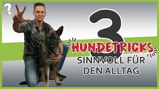 3 sinnvolle Hundetricks für den Alltag  Hundeerziehung [upl. by Amehsyt]