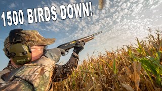 Argentina Dove Hunt SHOT REEL [upl. by Adym]