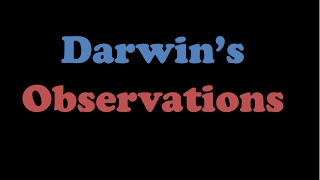 Darwins Observations [upl. by Anneirb]