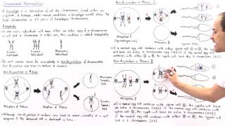 Aneuploidy and Nondisjunction Part II [upl. by Wehtam720]