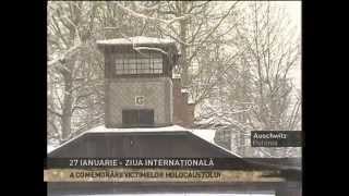 MARTURII DIN INFERN Auschwitz 27 IAN comemorare 70 de ani [upl. by Haas]