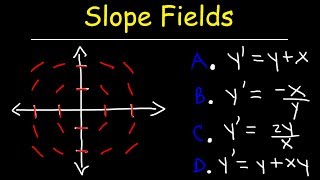 Slope Fields  Calculus [upl. by Kondon]