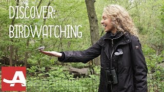 Birdwatching Tips for Beginners [upl. by Kelby]