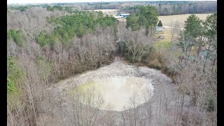 Huge Transformation On The Forgotten Pond In The Woods [upl. by Ynez824]