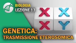 BIOLOGIA  Lezione 13  Genetica Trasmissione Eterosomica [upl. by Luci538]