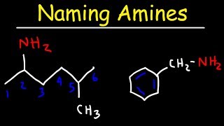 Naming Amines  IUPAC Nomenclature amp Common Names [upl. by Attennaj753]