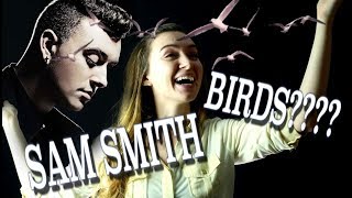 Google Translate Sings Sam Smith PARODY [upl. by Mullins]