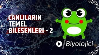 Canlıların Temel Bileşenleri  2 [upl. by Herrle]