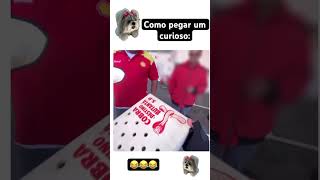 Como pegar um curioso memes viralvideo [upl. by Carlie]