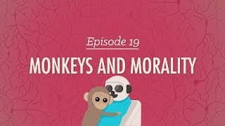 Monkeys and Morality Crash Course Psychology 19 [upl. by Blackmore]