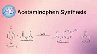 Acetaminophen Synthesis Mechanism  Organic Chemistry [upl. by Akined945]