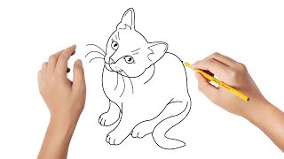 Comment dessiner un chat [upl. by Lorenz]