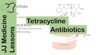 Tetracycline Antibiotics [upl. by Kalie25]