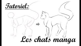 TUTORIEL Dessiner un chat style manga [upl. by Nalyt]