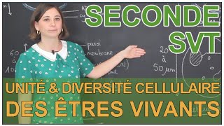 Unité et diversité cellulaire des êtres vivants  SVT Seconde  Les Bons Profs [upl. by Ybroc208]