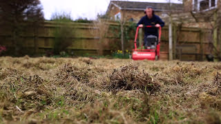 Lawn Scarification  Correct Scarification Procedure [upl. by Luapnhoj259]