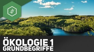 Grundbegriffe der Ökologie  Ökologie 1 [upl. by Walcott]