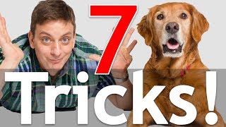 7 Dog Tricks in 5 Minutes [upl. by Morita386]